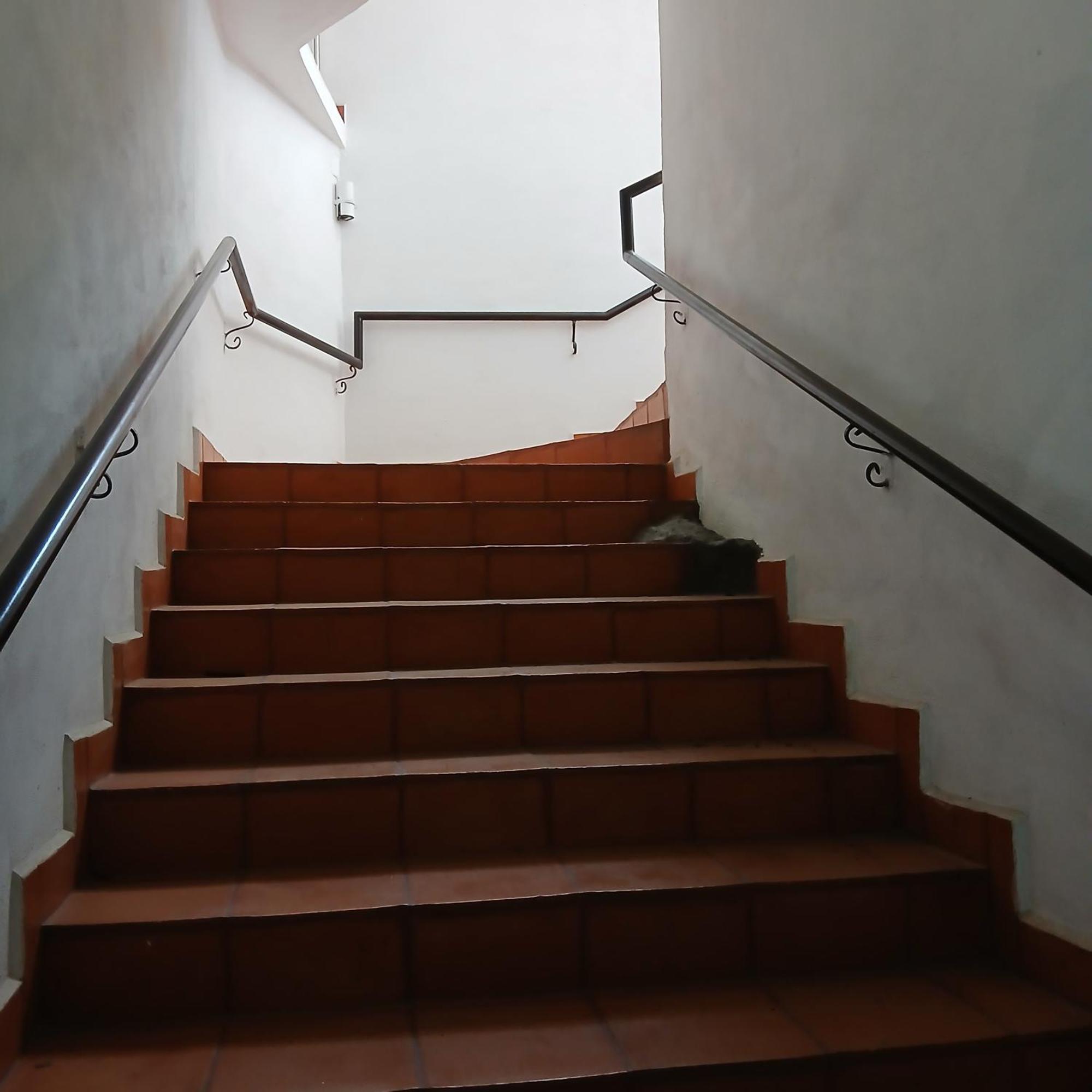Hotel Alondra Los Laureles Εξωτερικό φωτογραφία